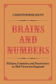 Brains and Numbers (eBook, PDF)