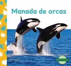 Manada de Orcas (Orca Whale Pod) - Murray, Julie