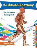 The Human Anatomy