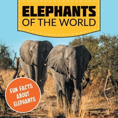 Elephants of the World - Baby