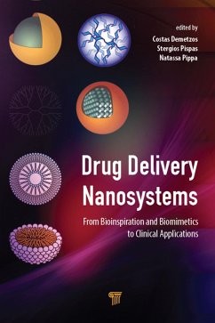 Cover Drug Delivery Nanosystems (eBook, ePUB)