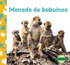 Manada de Babuinos (Baboon Troop)