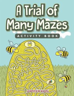 A Trial of Many Mazes Activity Book - Jupiter Kids