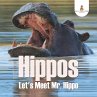 Hippos - Let's Meet Mr. Hippo - Bild 1