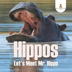 Hippos - Let's Meet Mr. Hippo - Baby