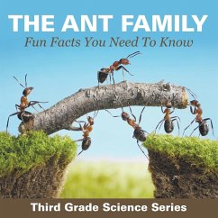 The Ant Family - Fun Facts You Need To Know - Baby