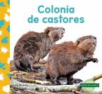 Colonia de Castores (Beaver Colony)