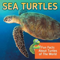 Sea Turtles - Baby
