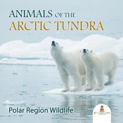 Animals of the Arctic Tundra - Baby