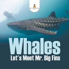 Whales - Let's Meet Mr. Big Fins - Baby