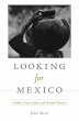 Looking for Mexico (eBook, PDF) - Bild 1