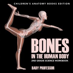 Bones in The Human Body - Baby