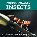 Creepy Crawly Insects