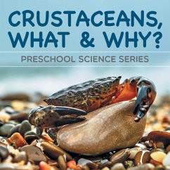 Crustaceans, What & Why? - Baby