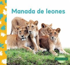 Manada de Leones (Lion Pride) - Murray, Julie