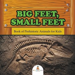Cover Big Feet, Small Feet