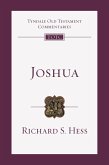 Joshua (eBook, ePUB)
