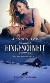 Eingeschneit   Erotische Geschichte (eBook, PDF)