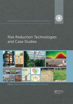 Engineering Tools for Environmental Risk Management (eBook, PDF)