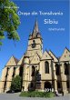 Oras¿e din Transilvania Sibiu (eBook,... - Bild 1