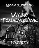 Villa Todenbrink (eBook, ePUB)