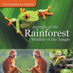 Animals of the Rainforest   Wildlife of the Jungle   Encyclopedias for Children - Baby