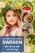 My First Book About Sweden Min Första... - Bild 1