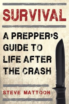 Survival (eBook, ePUB) - Mattoon, Steve