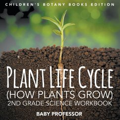 Plant Life Cycle (How Plants Grow) - Baby