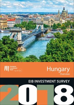 EIB Investment Survey 2018 - Hungary overview (eBook, ePUB)