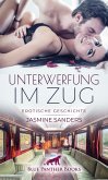 Unterwerfung im Zug   Erotische Geschichte (eBook, ePUB)