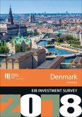 EIB Investment Survey 2018 - Denmark overview (eBook, ePUB) EIB Investment Survey 2018 - Denmark overview (eBook, ePUB)