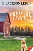 Ordinary is Perfect (eBook, ePUB)