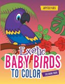 Exotic Baby Birds to Color Coloring Book
