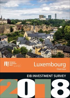 Cover EIB Investment Survey 2018 - Luxembourg overview (eBook, ePUB)