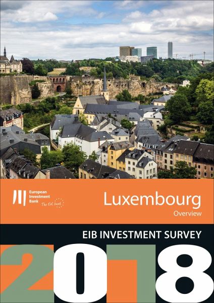 EIB Investment Survey 2018 - Luxembourg overview (eBook, ePUB)