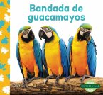 Bandada de Guacamayos (Macaw Flock)
