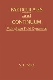 Particulates And Continuum (eBook, PDF)