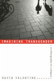 Imagining Transgender (eBook, PDF)