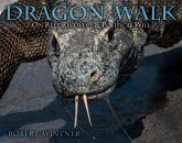 Dragon Walk (eBook, ePUB)