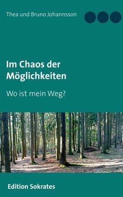 Im Chaos der Möglichkeiten (eBook, ePUB) - Johannsson, Thea; Johannsson, Bruno