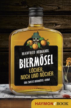 Löcher, noch und nöcher (eBook, ePUB) - Rebhandl, Manfred