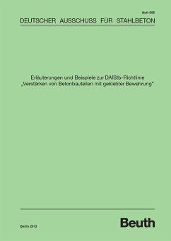 Cover Erläuterungen und Beispiele zur DAfStb-Richtlinie 