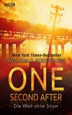 One Second After - Die Welt ohne Strom (eBook, ePUB) One Second After - Die Welt ohne Strom (eBook, ePUB)