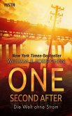 One Second After - Die Welt ohne Strom (eBook, ePUB)