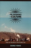 Expediency of Culture (eBook, PDF)