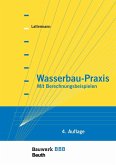 Wasserbau-Praxis (eBook, PDF)