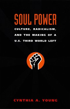 Soul Power (eBook, PDF) - Cynthia A. Young, Young
