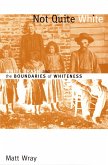 Not Quite White (eBook, PDF)