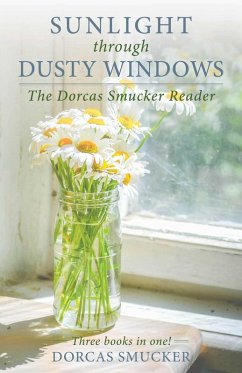 Cover Sunlight Through Dusty Windows (eBook, ePUB)